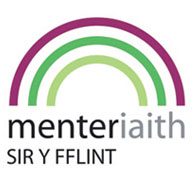 menter iaith
